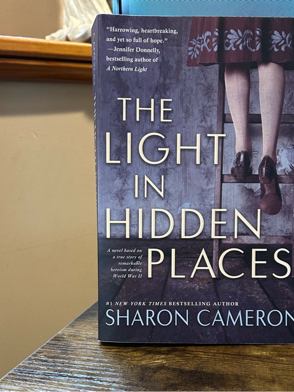 Historical Nonfiction-The Light in Hidden Places  -Reese’s Book Club YA pick